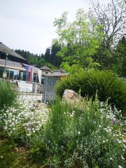 Terme Snovik_maj 2020_foto K.Hribar